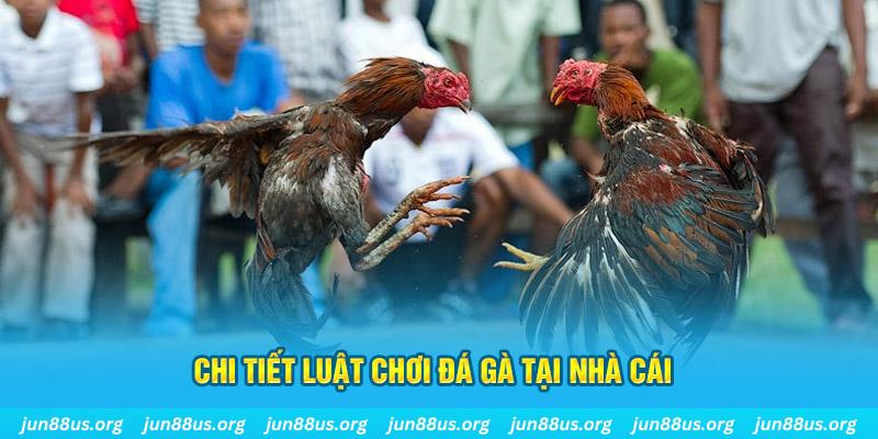 alo789 casino LINK MỚI